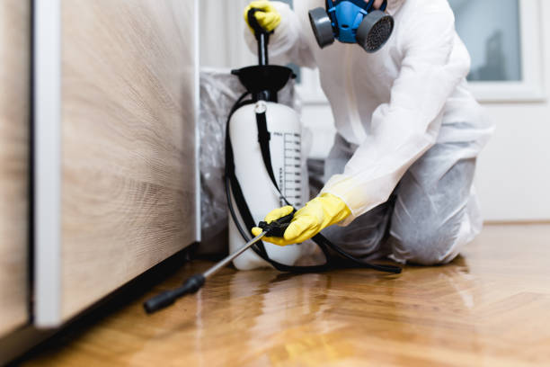 Best Flea Control Services  in Richlands, NC