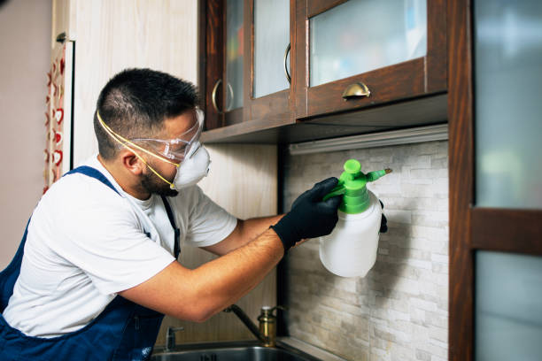 Best Pest Control Near Me  in Richlands, NC