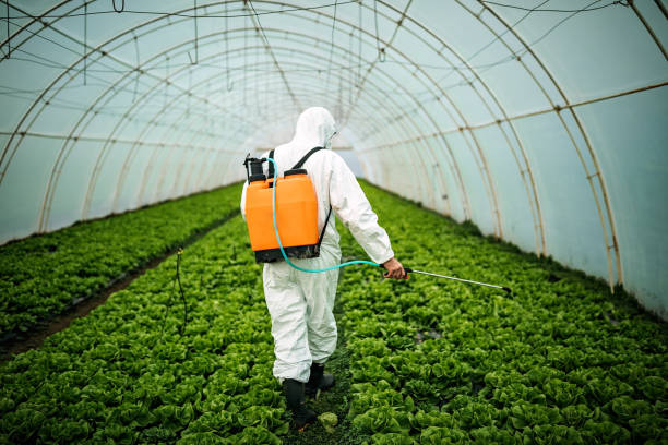 Best Mosquito Control Services  in Richlands, NC