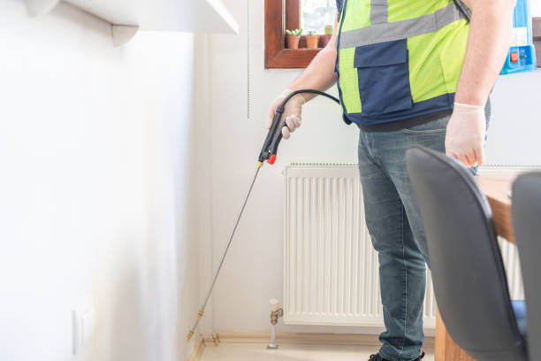 Best Termite Control Services  in Richlands, NC