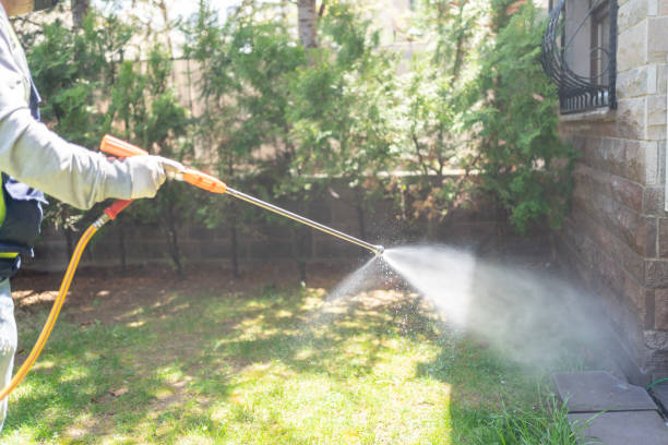 Reliable Richlands, NC Pest Control Solutions