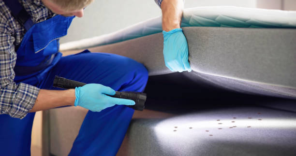 Best Pest Inspection Near Me  in Richlands, NC