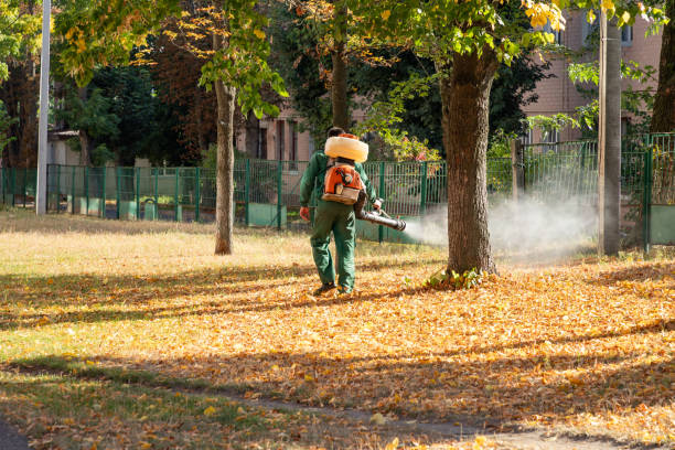Best Pest Removal Services  in Richlands, NC