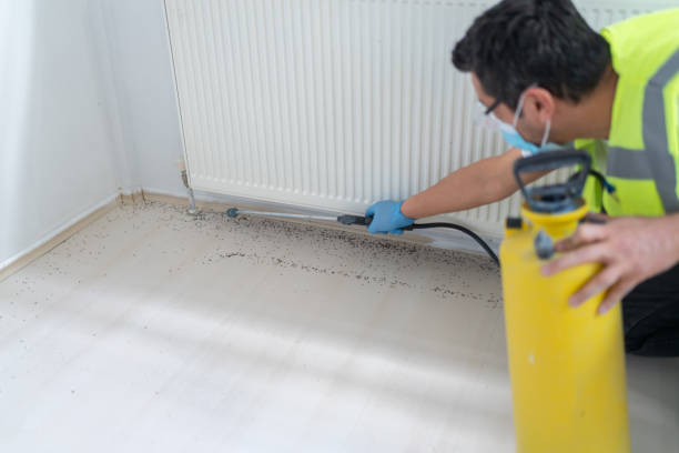 Best Pest Control Near Me  in Richlands, NC