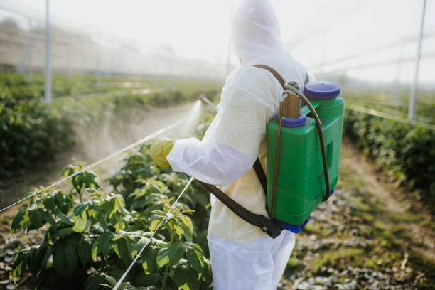 Best Rat Extermination Near Me  in Richlands, NC